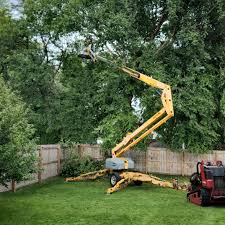 Best Tree Maintenance Programs  in Granby, MO